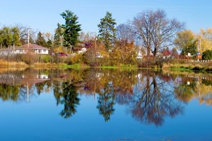 Kiwanis River Park - Trees and water